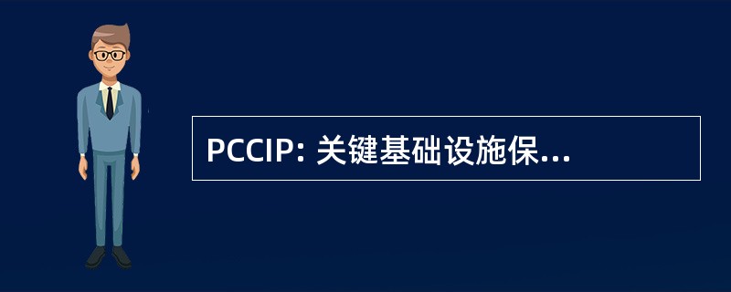 PCCIP: 关键基础设施保护总统委员会