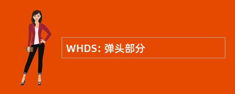 WHDS: 弹头部分