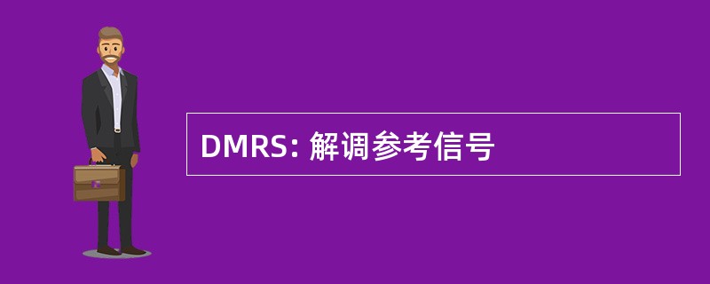 DMRS: 解调参考信号