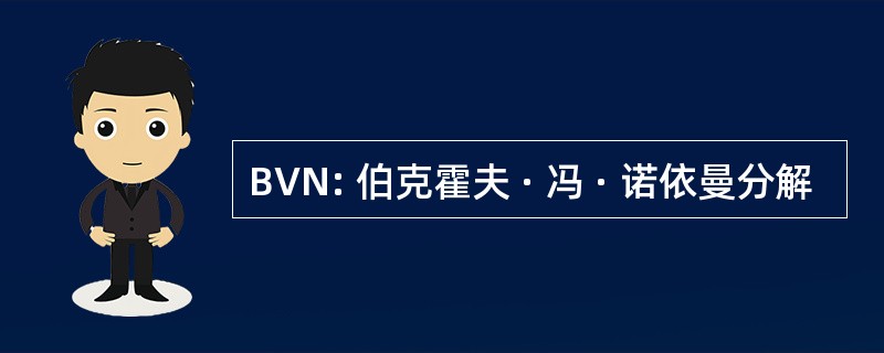 BVN: 伯克霍夫 · 冯 · 诺依曼分解