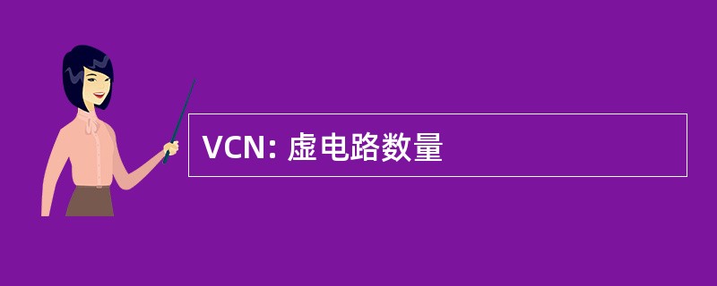 VCN: 虚电路数量