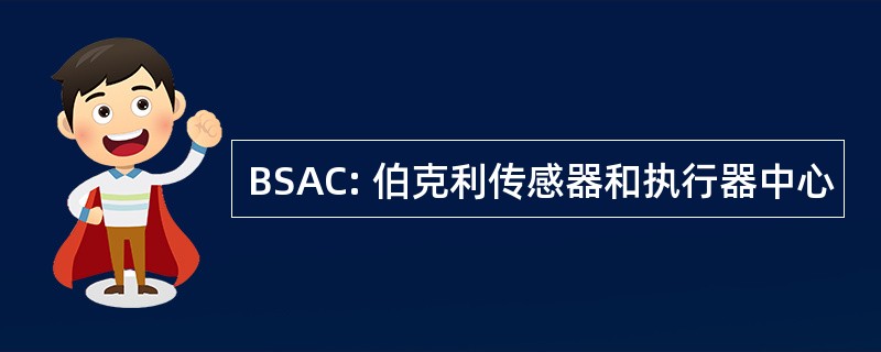 BSAC: 伯克利传感器和执行器中心