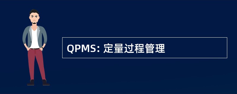 QPMS: 定量过程管理