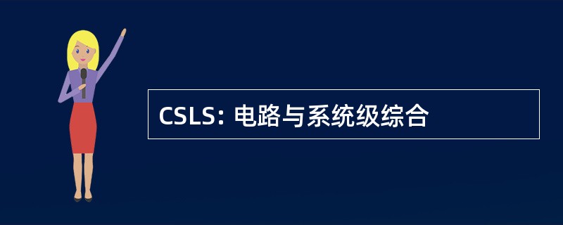 CSLS: 电路与系统级综合