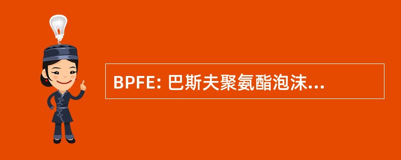 BPFE: 巴斯夫聚氨酯泡沫企业有限责任公司