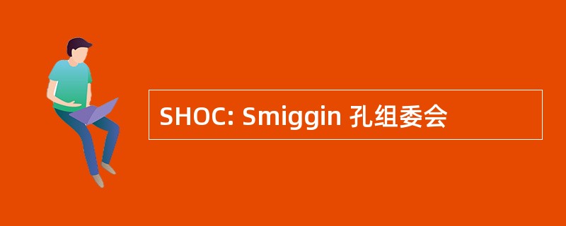 SHOC: Smiggin 孔组委会