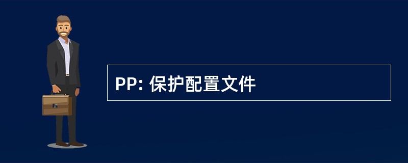 PP: 保护配置文件