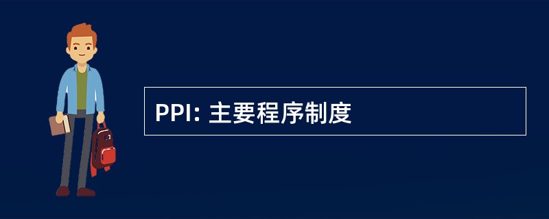 PPI: 主要程序制度