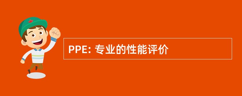 PPE: 专业的性能评价