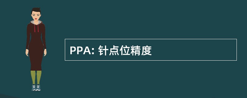 PPA: 针点位精度