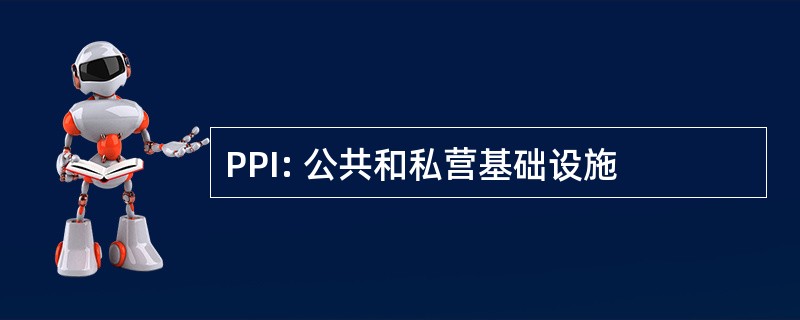 PPI: 公共和私营基础设施