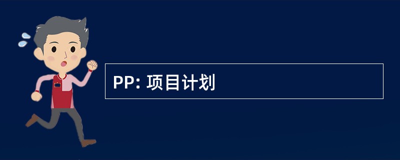 PP: 项目计划