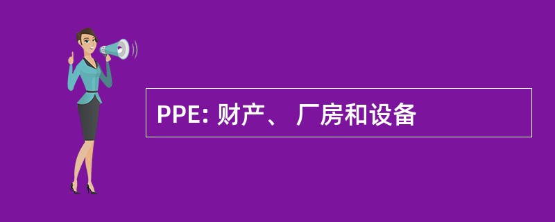 PPE: 财产、 厂房和设备