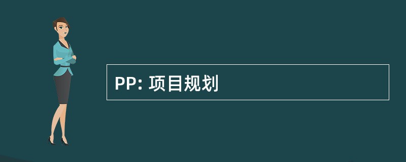 PP: 项目规划