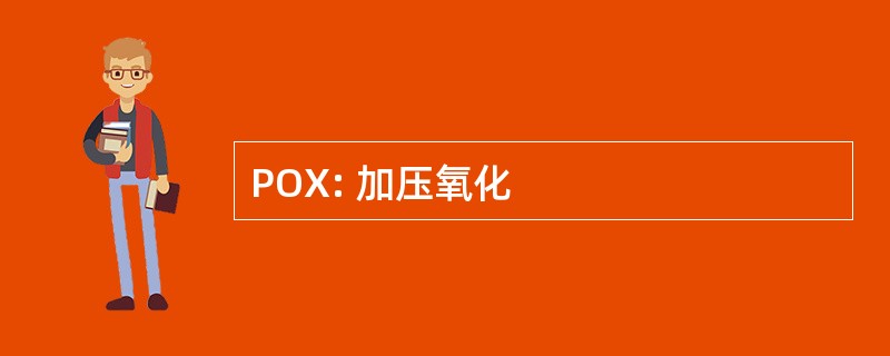 POX: 加压氧化