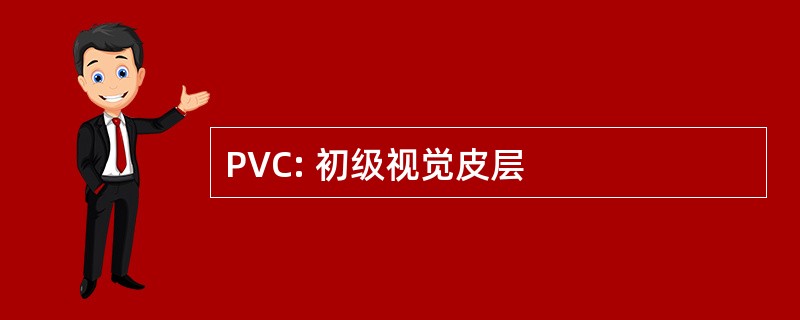 PVC: 初级视觉皮层