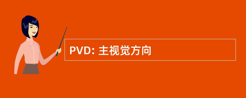 PVD: 主视觉方向