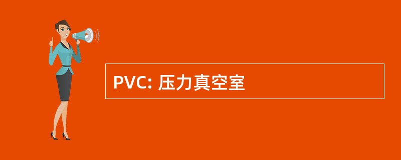 PVC: 压力真空室