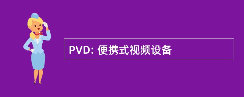 PVD: 便携式视频设备