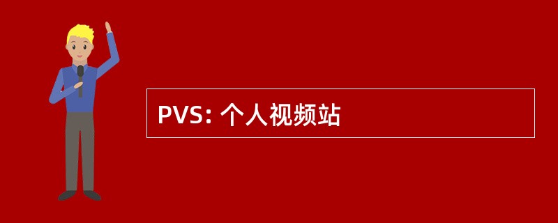 PVS: 个人视频站