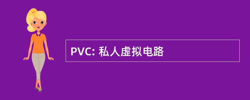 PVC: 私人虚拟电路