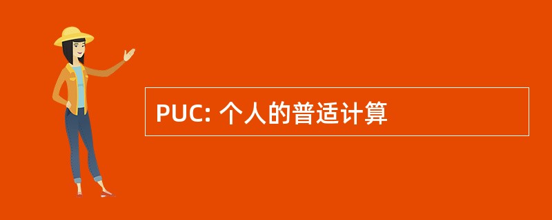 PUC: 个人的普适计算