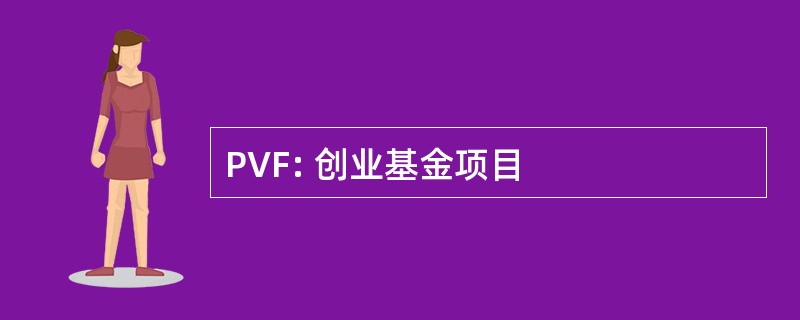 PVF: 创业基金项目