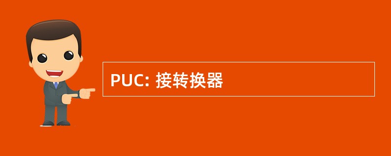 PUC: 接转换器