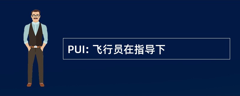 PUI: 飞行员在指导下