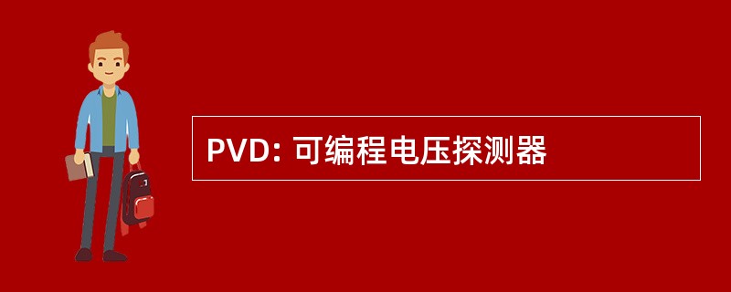 PVD: 可编程电压探测器