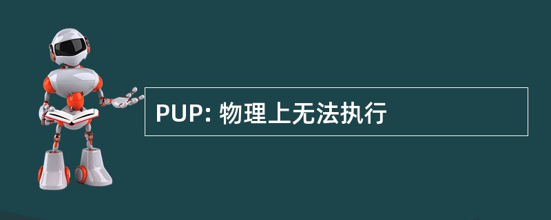 PUP: 物理上无法执行