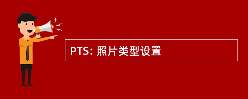 PTS: 照片类型设置