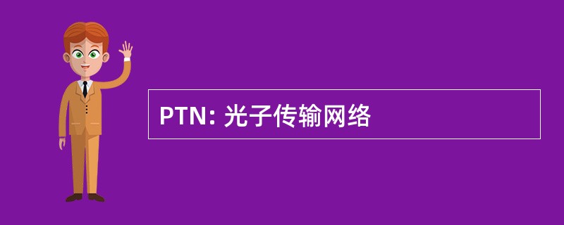 PTN: 光子传输网络