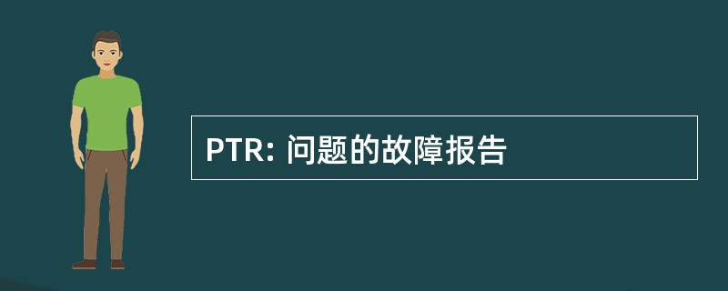 PTR: 问题的故障报告