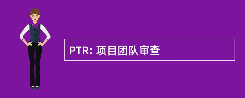 PTR: 项目团队审查