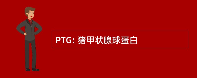 PTG: 猪甲状腺球蛋白