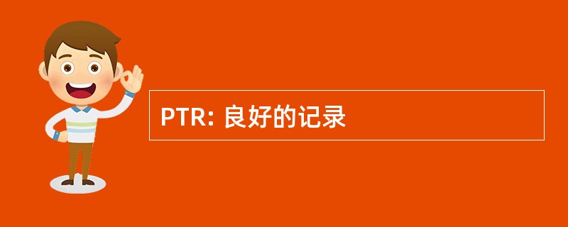 PTR: 良好的记录