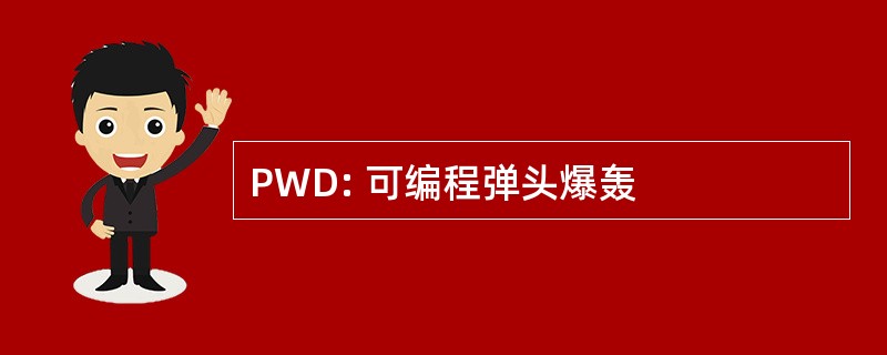 PWD: 可编程弹头爆轰