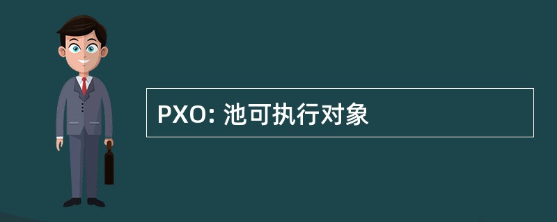 PXO: 池可执行对象