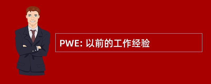 PWE: 以前的工作经验