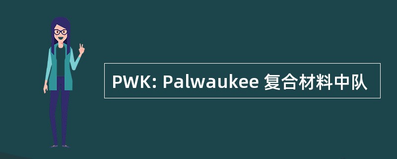 PWK: Palwaukee 复合材料中队