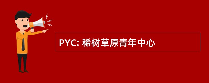 PYC: 稀树草原青年中心