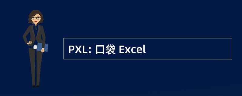 PXL: 口袋 Excel