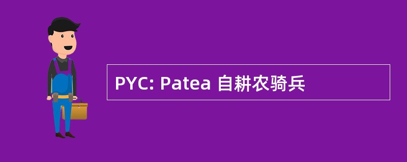 PYC: Patea 自耕农骑兵