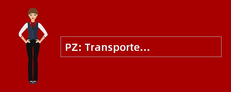 PZ: Transportes Aereos del 南锥体共同市场、 巴拉圭