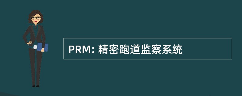 PRM: 精密跑道监察系统