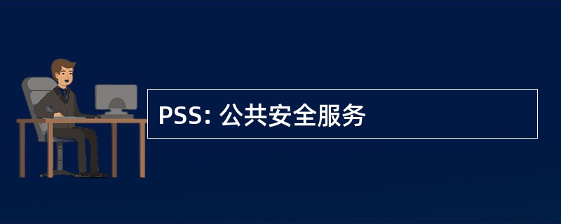 PSS: 公共安全服务