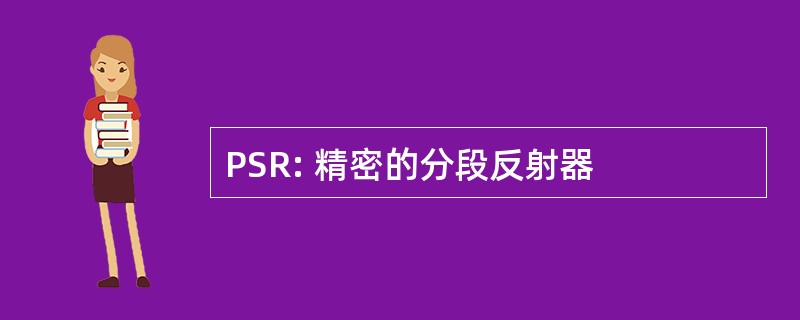 PSR: 精密的分段反射器