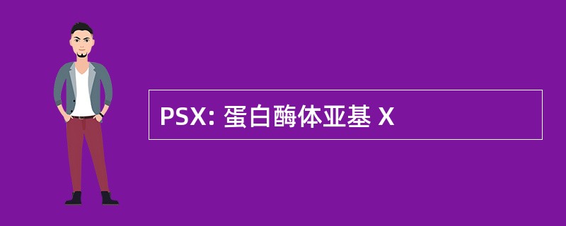 PSX: 蛋白酶体亚基 X