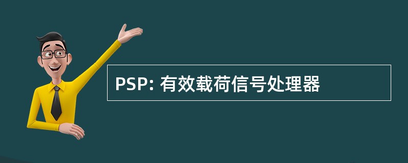 PSP: 有效载荷信号处理器